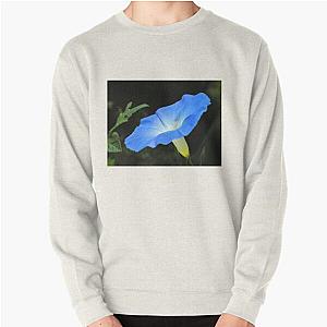 A Perfect Blue Pullover Sweatshirt