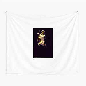 The Who? The One: Pete Pete Townshend Tapestries