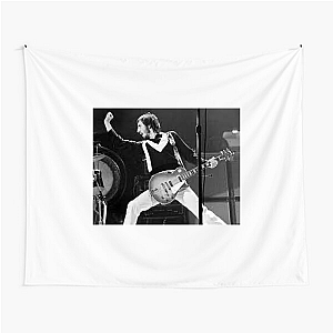 Townshend in My Vinyl Pete Townshend Tapestries