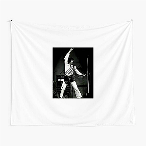 Smash Guitars, Pete Style Pete Townshend Tapestries