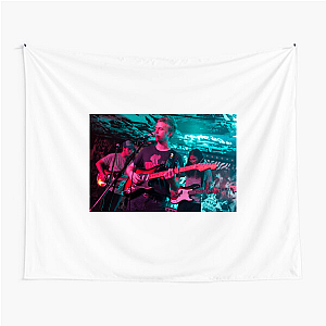 Pinegrove My Favorite Lyrical Band Pinegrove Tapestries