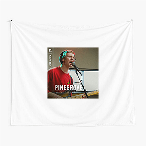 Pinegrove Indie Rock Emo Heart Pinegrove Tapestries