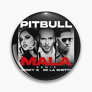 Mr Worldwide Pitbull Rapper Mala Pin