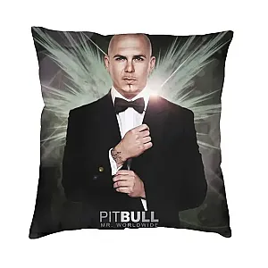 Pitbull Mr Worldwide Rapper Modern Throw Pillow