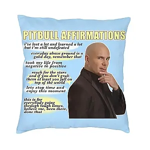 Pitbull Affirmations Mr Worldwide Modern Throw Pillow