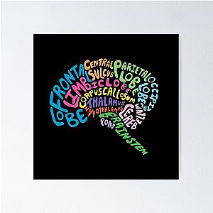 Human Brain Anatomy Colored- Psychology Design Poster