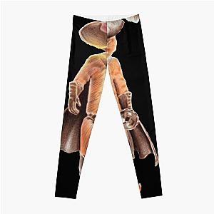 Puss In Boots The Last Wish Leggings