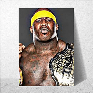 Former NFL Player Quinn Ojinnaka Posters