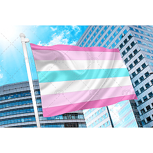 Femboy Flag PN0112