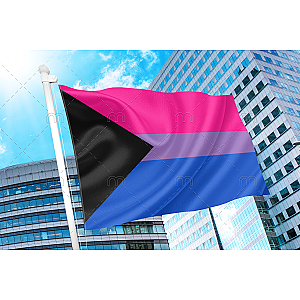 DemiBisexual Pride Flag PN0112