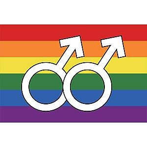 Pride Homosexual Rainbow Flag-Large1 PN0112