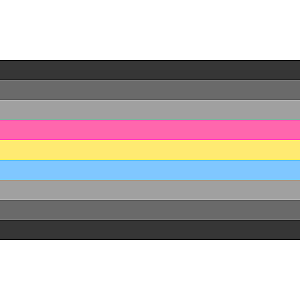 Gray Pansexual Pride Flag PN0112