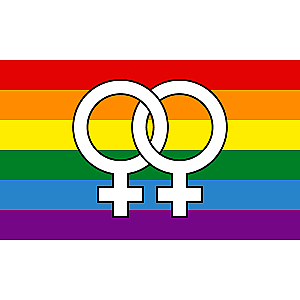 Pride Homosexual Rainbow Flag - Large2 PN0112