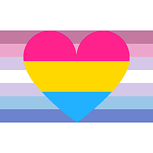 Bigender Pansexual Combo Pride Flag PN0112