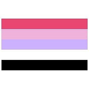 Reciprosexual flag PN0112