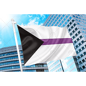 Demisexual Pride Flag PN0112