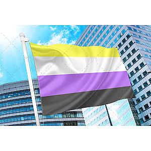 Non Binary Pride Flag PN0112