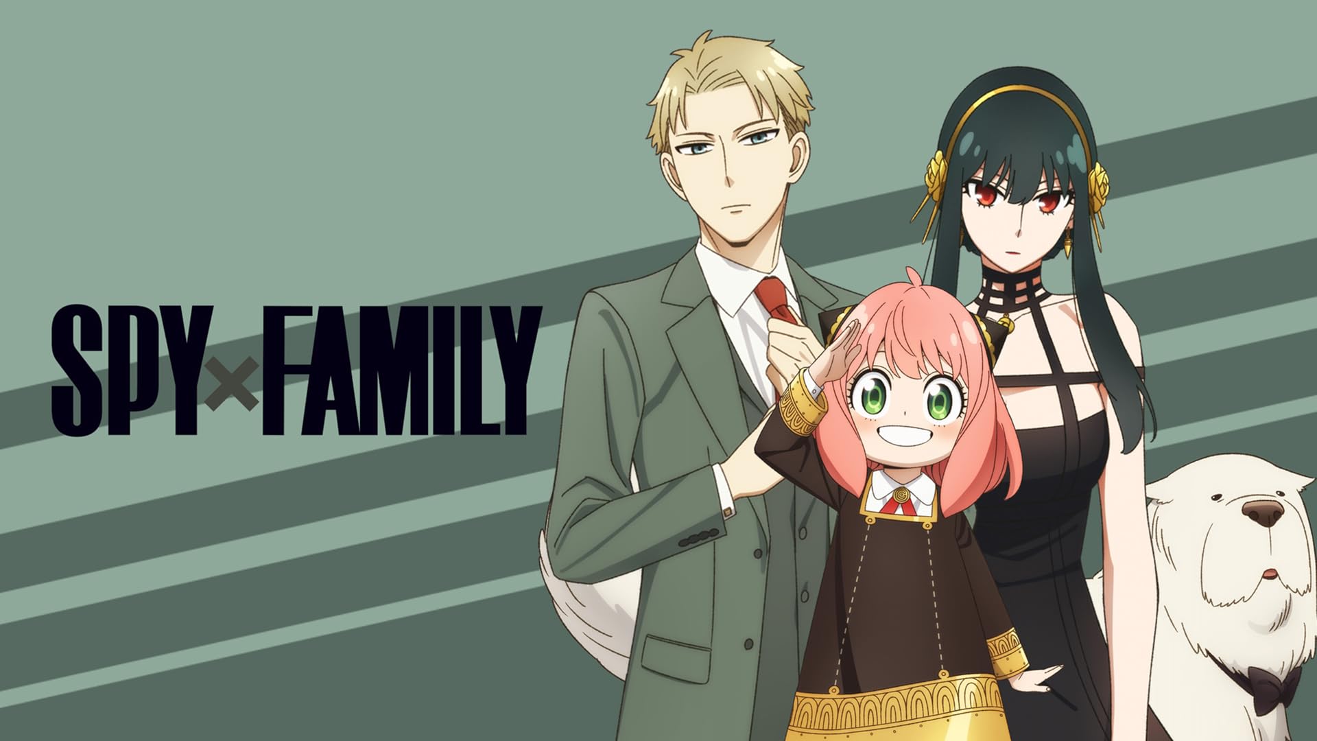 Unleash Your Inner Spy: Must-Have Spy × Family Merch!