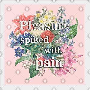 Red Hot Chili Peppers Posters - Pleasure spiked with pain Poster TP2610