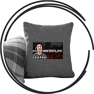 Rice Gum Pillows Cover