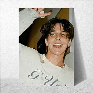 Role Model Real Feelings Real Sound Role Model Posters