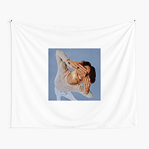 Role Model Tune Into My World Role Model Tapestries