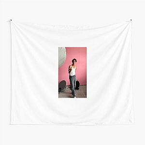 Role Model Indie Pop Dreamer Role Model Tapestries