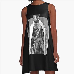 Ronnie Coleman A Line Dress