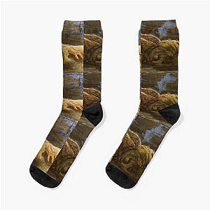 Ronnie Radke “drugs” Socks