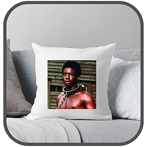 Roots Pillows Cover