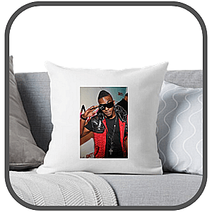 Roscoe Dash Pillows Cover