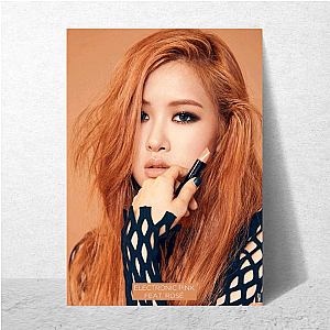 Rosé On The Ground Star Rosé Posters