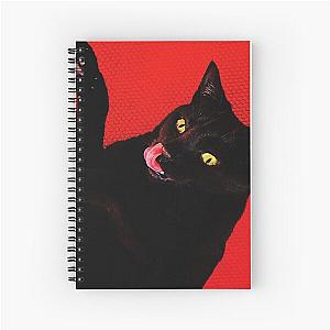 Big Colors Ryan Adams Spiral Notebook