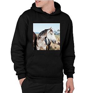 Salvia palth melanchole Daniel johann Pullover Hoodie