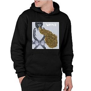 santigold Hoodie