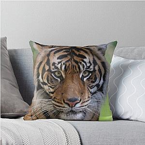 Tiger Scow Pillow