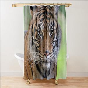 Tiger Shower Curtain