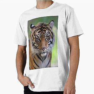 Tiger Scorn T-Shirt