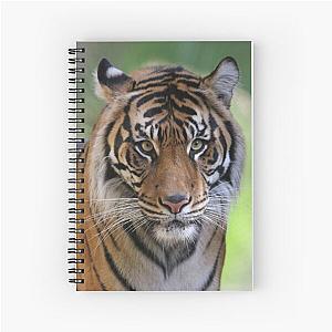 Tiger Spiral Notebook