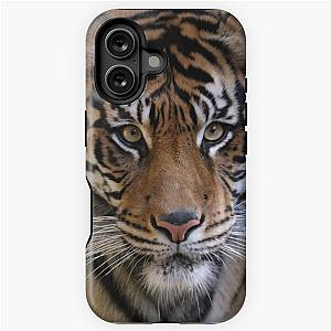 Tiger iPhone Case