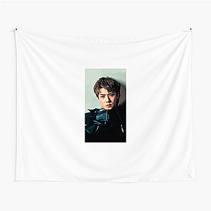 Sehun Rapper Visual Extraordinaire Sehun Tapestries