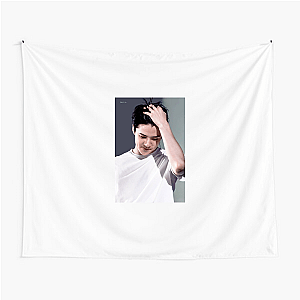 Sehun Global Idol Vibes Sehun Tapestries