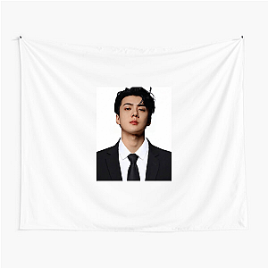 Sehun Maknae Powerhouse Sehun Tapestries