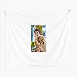 Sehun My Favorite EXO Bias Sehun Tapestries