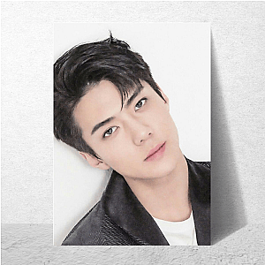 Sehun Feel The Sehun Flow Sehun Posters