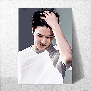 Sehun Global Idol Vibes Sehun Posters