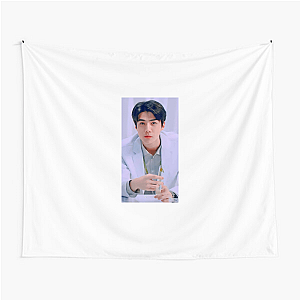 Sehun EXO Dancer King Sehun Tapestries