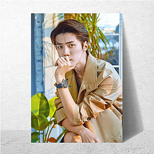 Sehun My Favorite EXO Bias Sehun Posters