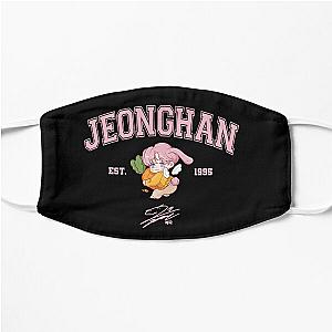 JEONGHAN 1995 Seventeen Members Shirt, Seventeen Member Shirt,  Flat Mask