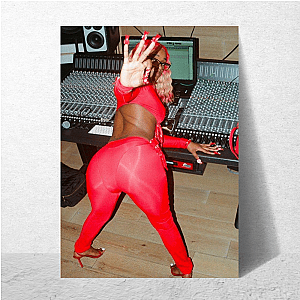 Sexyy Red Rich Baby Daddy Vibe Sexyy Red Posters